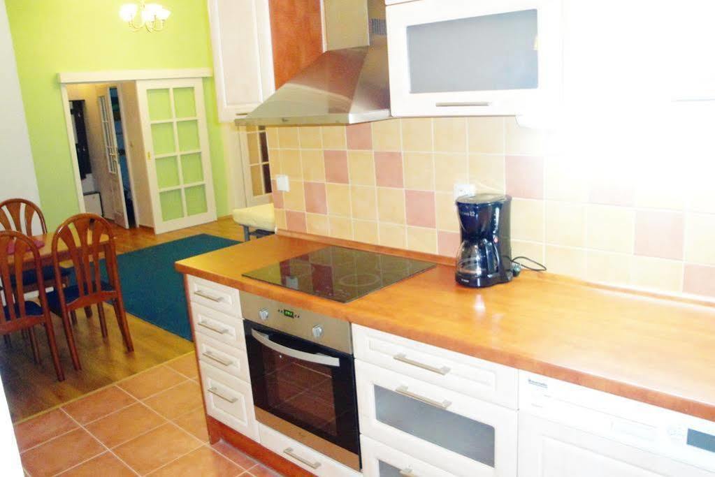 Apartment Janalex Wenceslas Square *